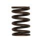 Valve Spring Fits Ford Replaces 3911693