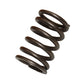 Valve Spring Fits Ford Replaces 3911693