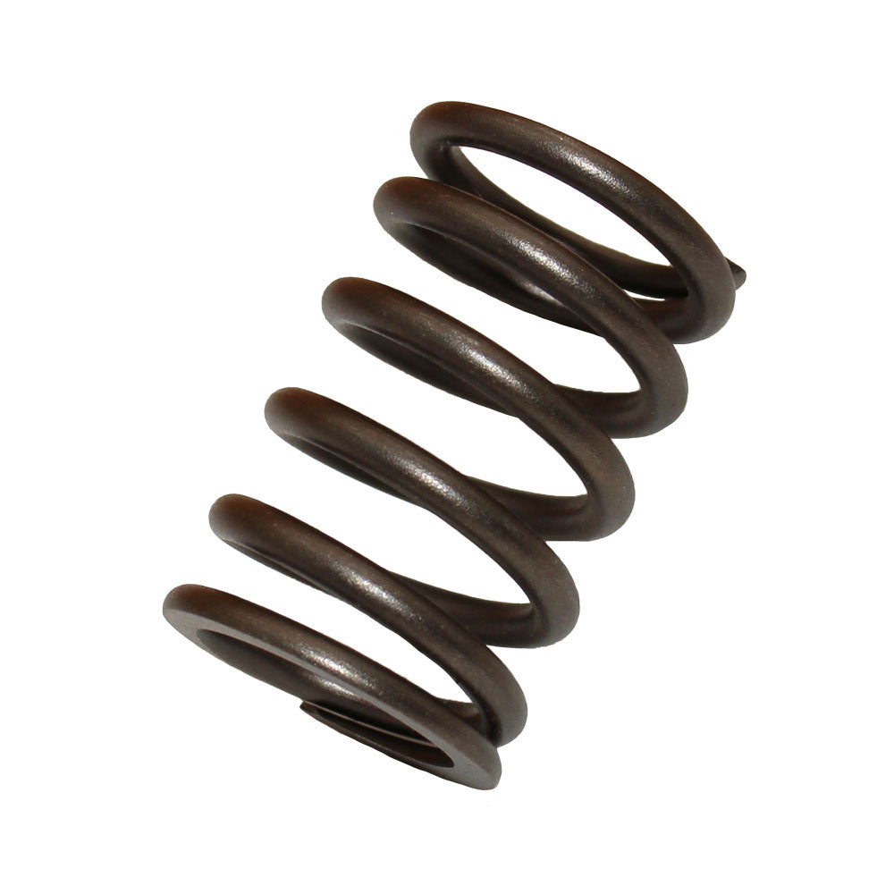 Valve Spring Fits Ford Replaces 3911693