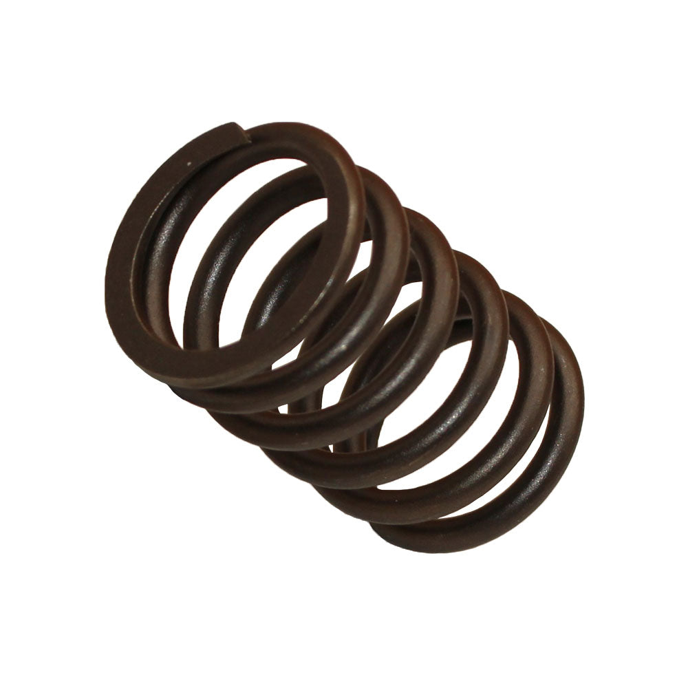 Valve Spring Fits Case/International Harvester Replaces 83911693