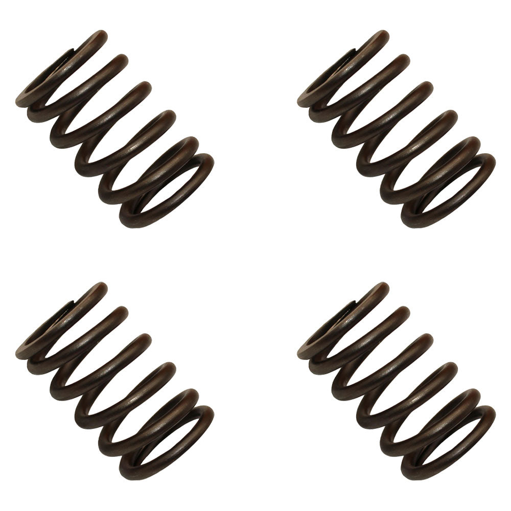Qty. 4: Valve Spring Fits Ford Replaces 3911693