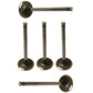 Qty 6: Intake Valves Fits Ford/New Holland Replaces 81824116