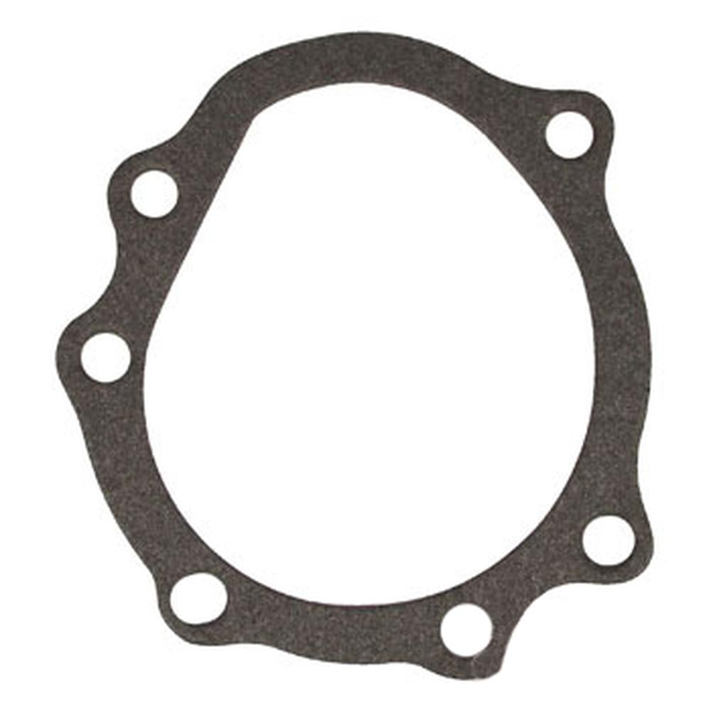 Water Pump Gasket Fits 600 700 800 900 NAA EAF8507B EAF8507B-A