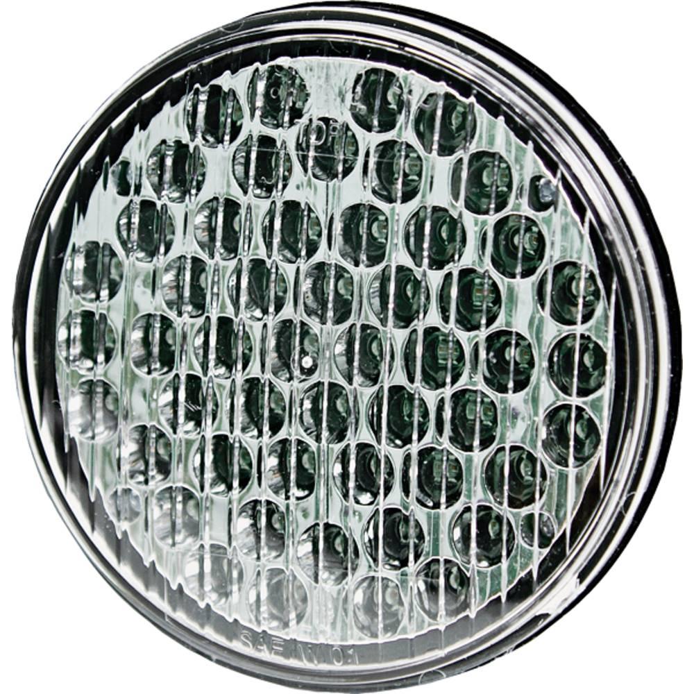 ECC-3945A-JN Ecco Directional Light