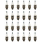 Qty 24: Spark Plug Fits NGK Replaces 15501