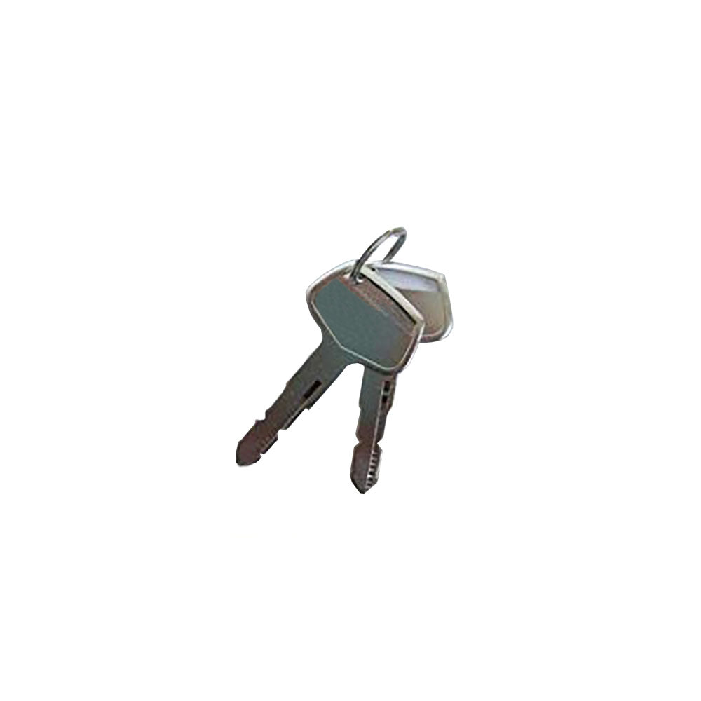 Qty 2: Ignition Keys Fits Yanmar Replaces 194275-52350