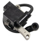 IGNITION COIL MODULE FOR LAWNBOY 683215 682702 100-2948 (lb15)