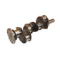 3cyl Crankshaft w/o Bearings Fits Massey Ferguson Replaces 3638309M91