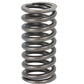 MFS5448-STR Valve Spring Fits Massey Ferguson TE20 TO20 TO30 TO35 F40 35 50 135