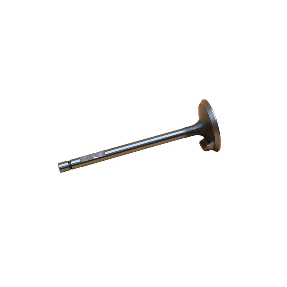 Intake Valve Fits Long Replaces TX10136