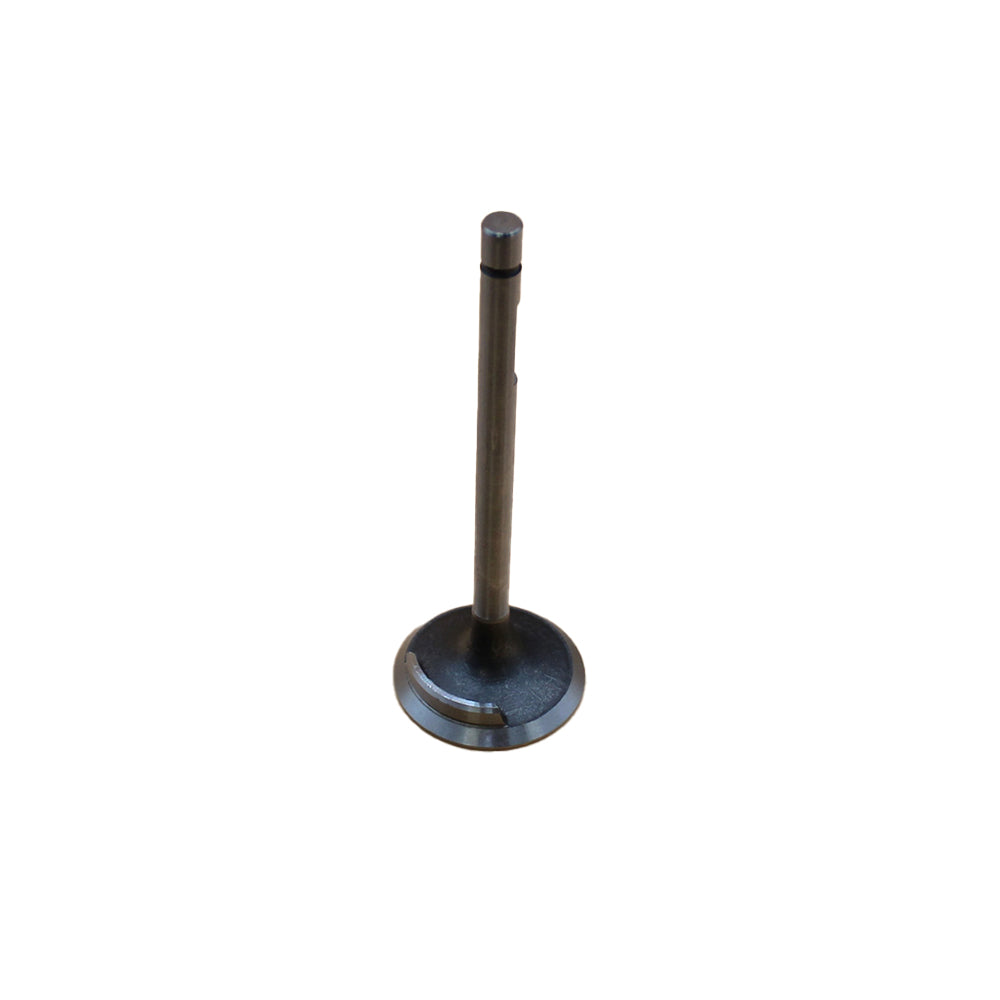 Intake Valve Fits Allis Chalmers Replaces 72089585