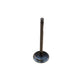 ENE10-0226 - Intake Valve Replaces 04802200