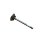 ENE10-0226 - Intake Valve Replaces 04802200