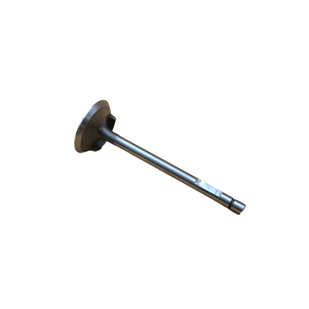 ENE10-0226 - Intake Valve Replaces 04802200