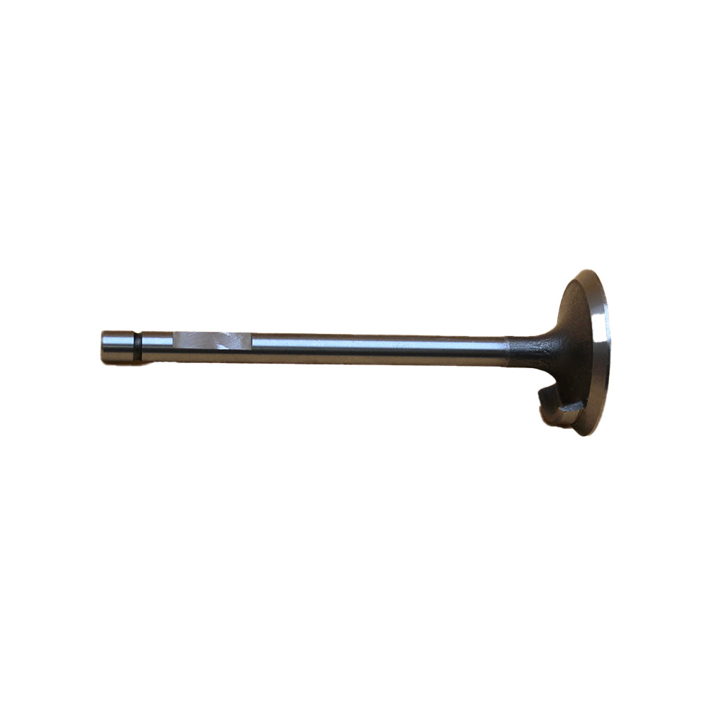 ENE10-0226 - Intake Valve Replaces 04802200