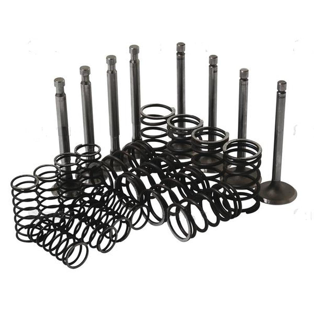 Valve Train Kit Fits Massey Ferguson FE35 TO35