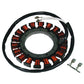 New Stator Kit 055-489 Fits Kohler 24 085 01