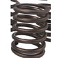 2064127 Valve Spring Fits Caterpillar Industrial Construction Models