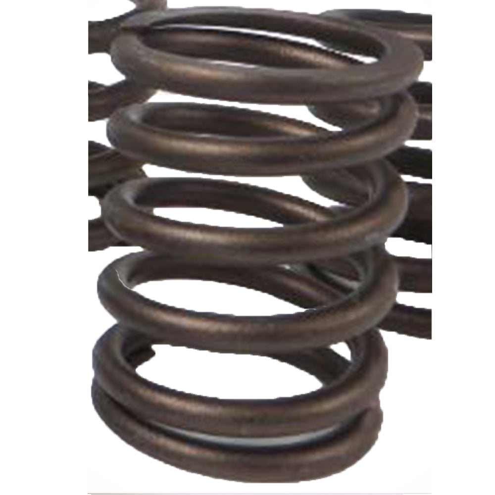 1906115 Inner Valve Spring Fits Caterpillar Industrial Construction Model