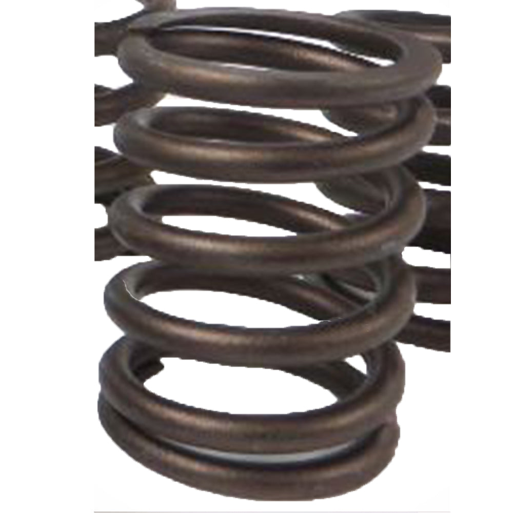 1944902 Inner Valve Spring Fits Caterpillar Industrial Construction Model