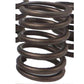 2418385 Outer Valve Spring Fits Caterpillar Industrial Construction Model