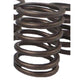 5F3112 Outer Valve Spring Fits Caterpillar Engines D315