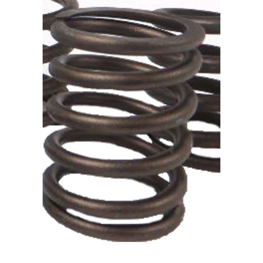 5F3112 Outer Valve Spring Fits Caterpillar Engines D315
