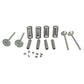 Valve Train Kit w/ Guides Springs Locks Intake & Exh. for 420 430 440