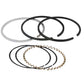 Piston Ring Set Fits 135 150 B125 D10 D12 230093 70230093GV 836100M91 836100M91-