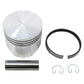 Engine Rebuild Kit Fits Kohler K241 K241AQS 216 Spark Plug 47 150 03-S Points