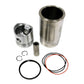 Piston Liner Kit (Std) Fits John Deere Replaces AR71593-Piston