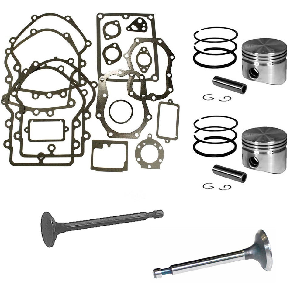 Rebuild Kit for Some Fits Briggs and Stratton Opposed Twin Cylinder Engine 16hp-