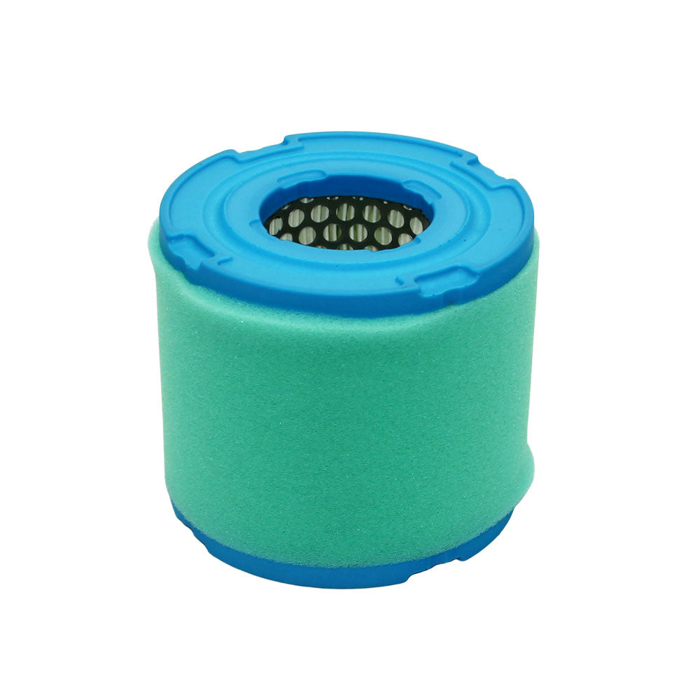 02451900 Air Filter Fits Briggs and Stratton Mower 820 820A 303400