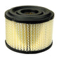 Air Filter Fits Briggs and Stratton 390492 050353 100-099