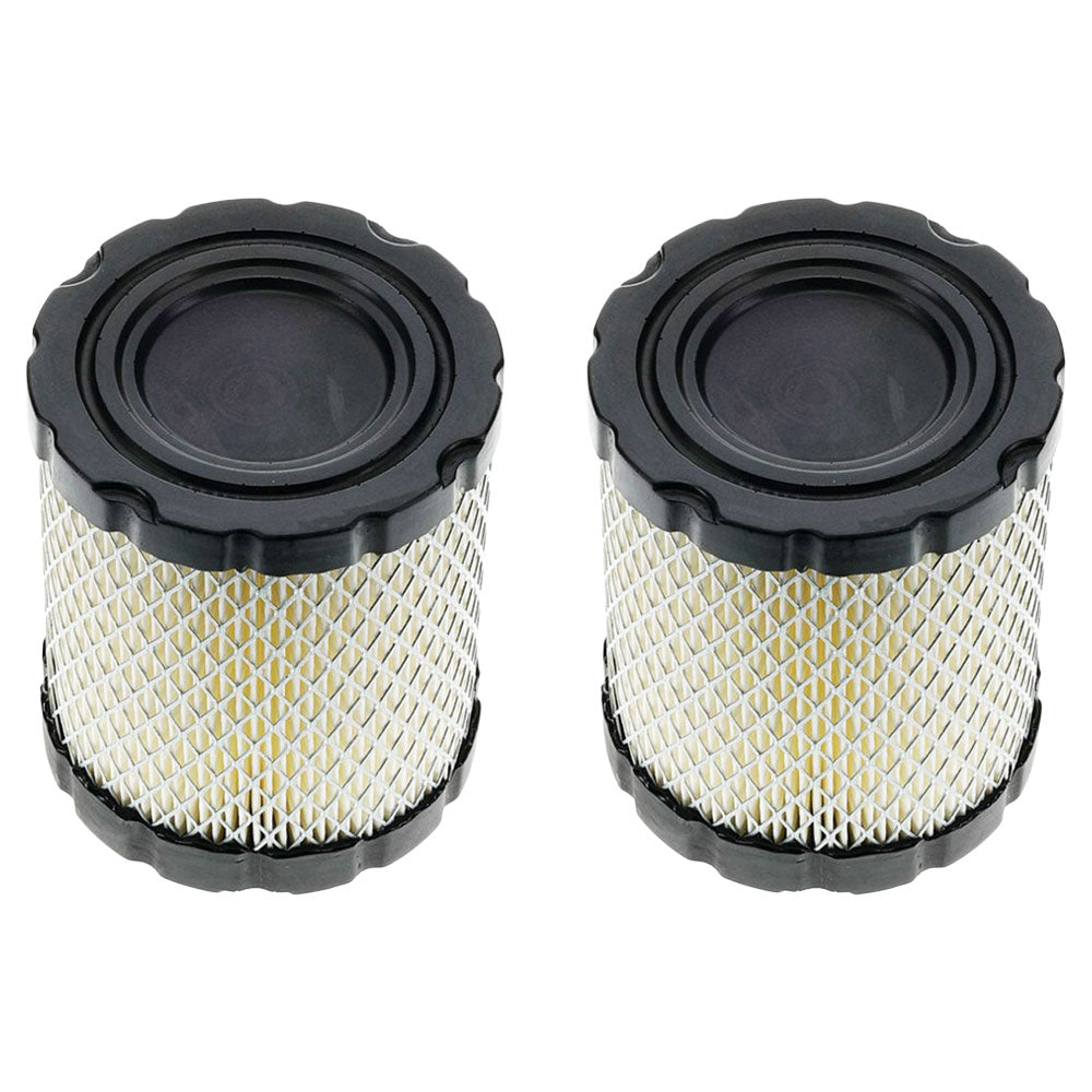 Qty 2: Air Filter Fits Briggs and Stratton Replaces 4250