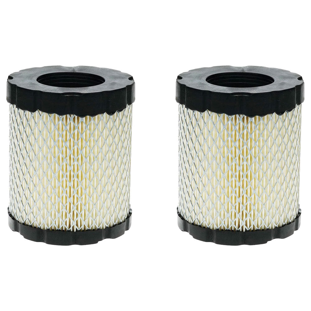 Qty 2: Air Filter Fits Briggs and Stratton Replaces 4250