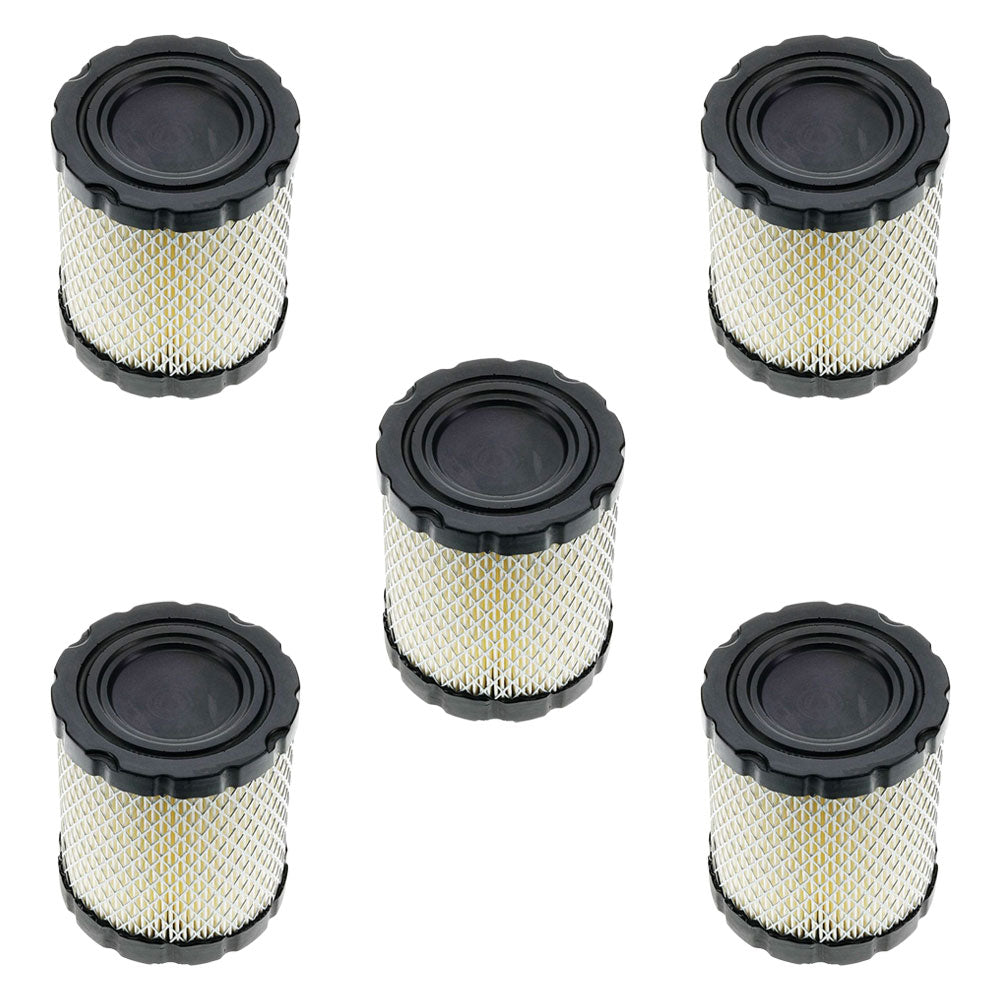 Qty 5: Air Filter Fits Briggs and Stratton Replaces 4250