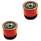 Qty 2: Oil Filter Fits Montana Replaces FII50-0067_x2
