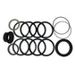 G105513 Tilt Dipper Boom Stabilizer Arm Cylinder Seal Kit Fits Case 1150 W24