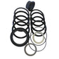 G105513 Tilt Dipper Boom Stabilizer Arm Cylinder Seal Kit Fits Case 1150 W24