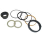 G105557 Stabilizer Cylinder Seal Kit Fits Case 780B
