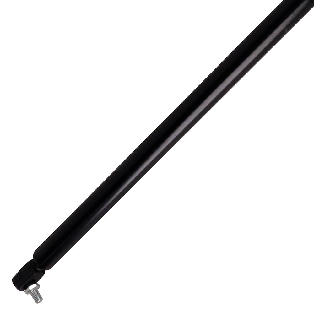 Hood Gas Strut, 31.00"