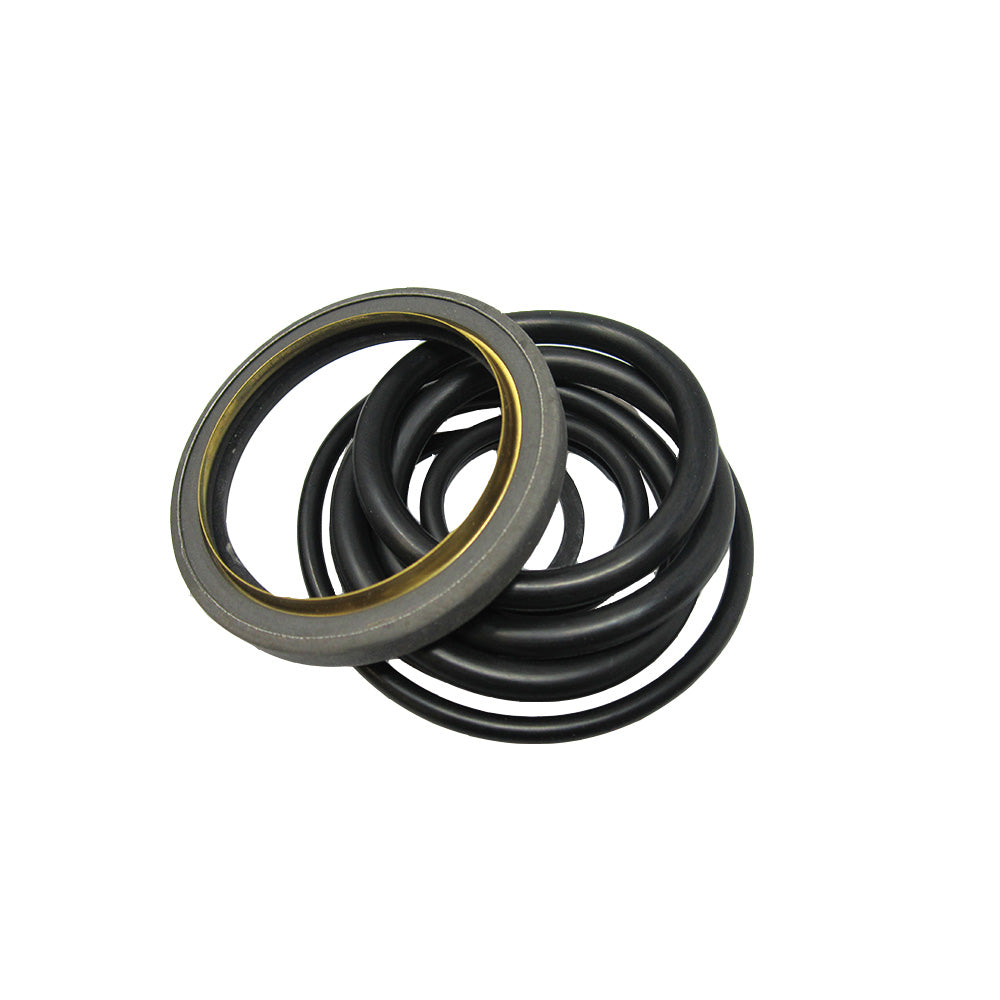 704654M91 Lift Hydraulic Cylinder Seal Kit Fits Massey Ferguson Loader 101 102 +