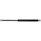 AM252636A1 Gas Strut, Hood