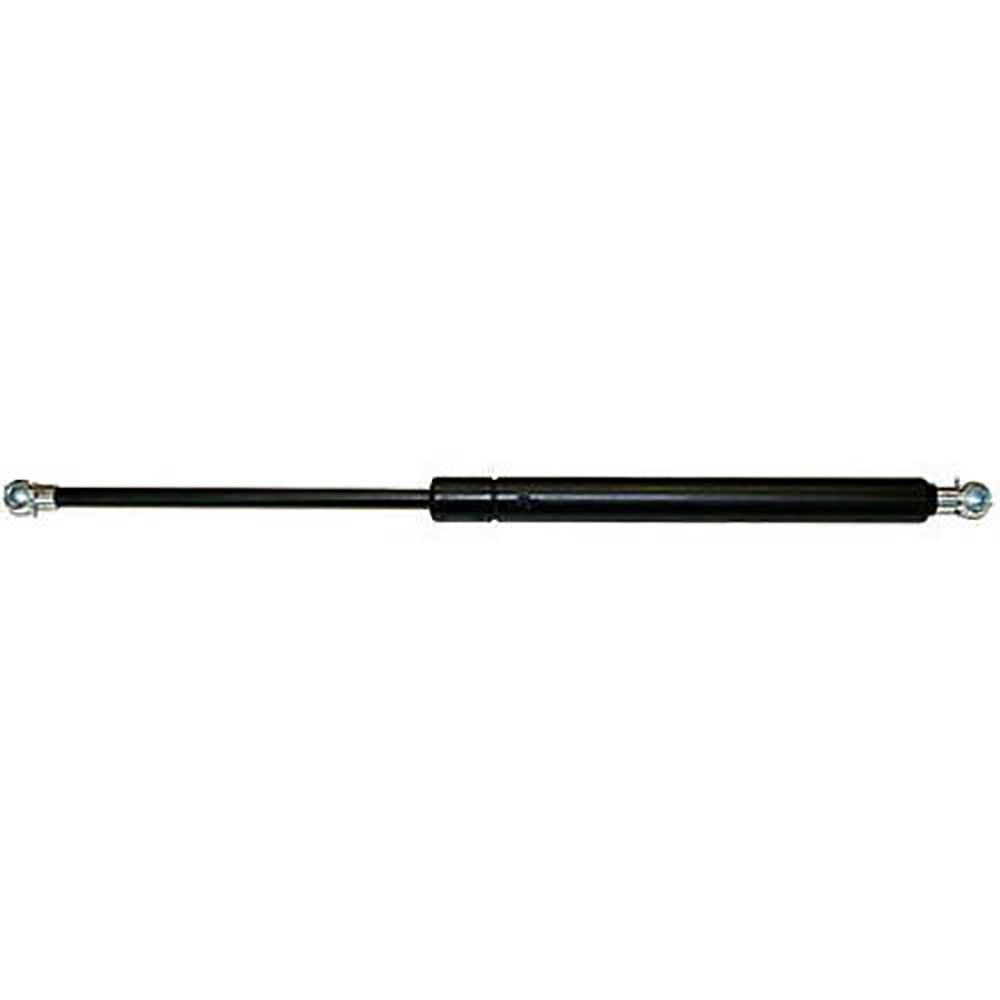 AM252636A1 Gas Strut, Hood