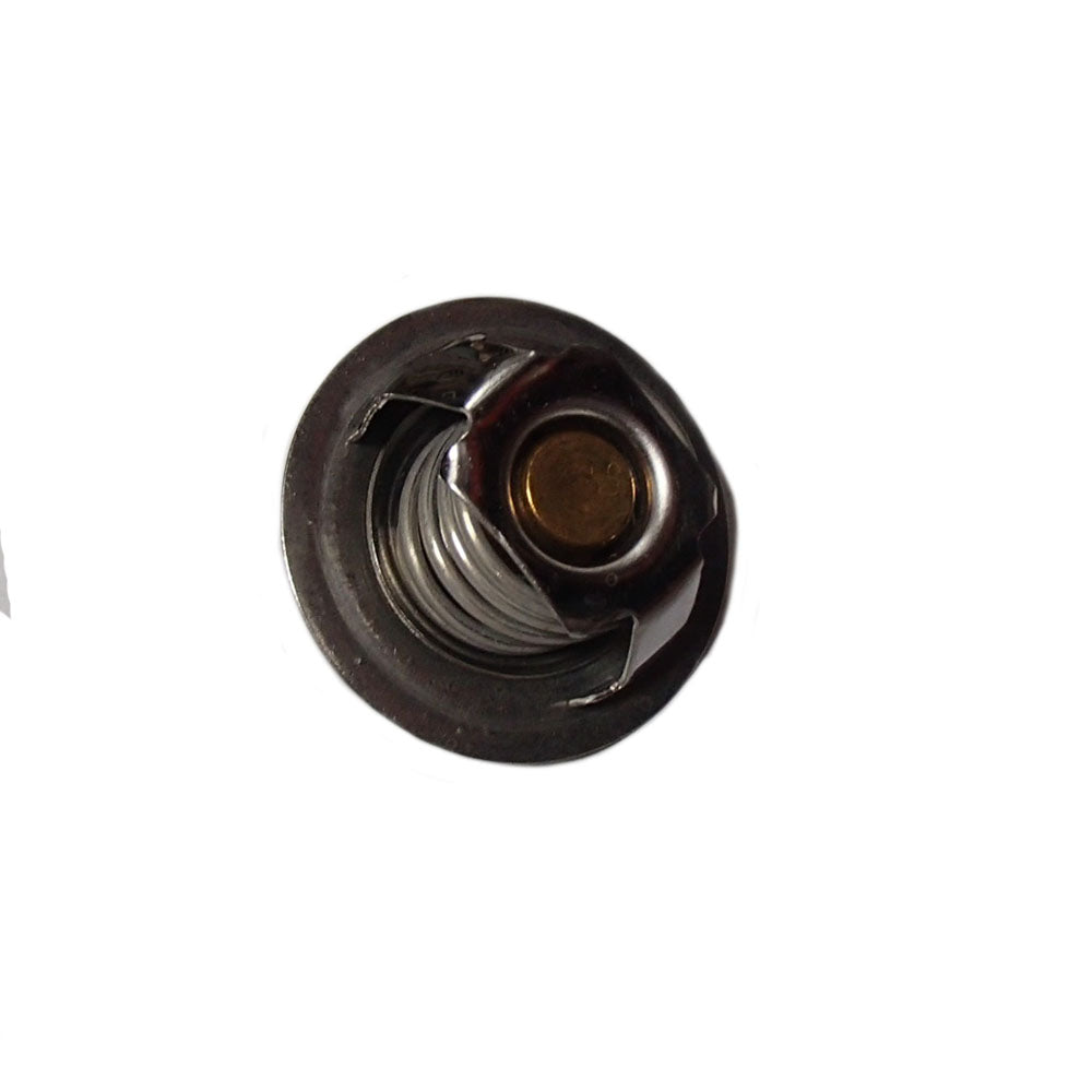 Thermostat, K200831 Fits David Brown