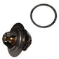 K262879 Thermostat & Gasket Fits David Brown