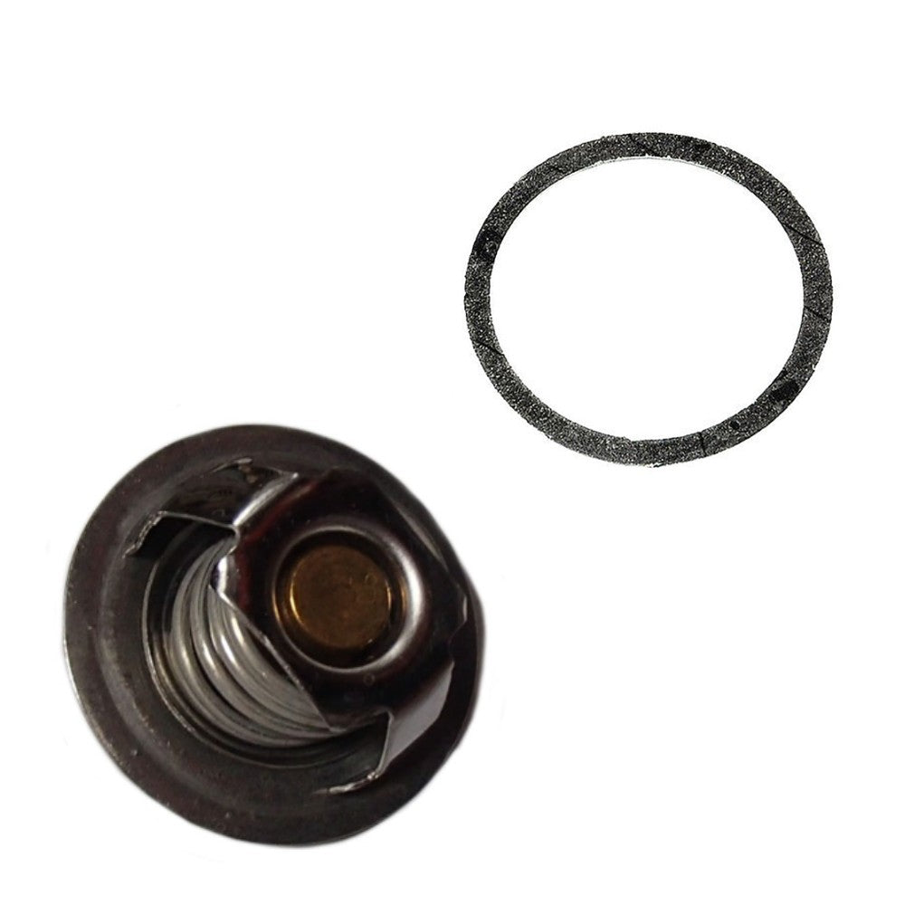 K262879 Thermostat & Gasket Fits David Brown
