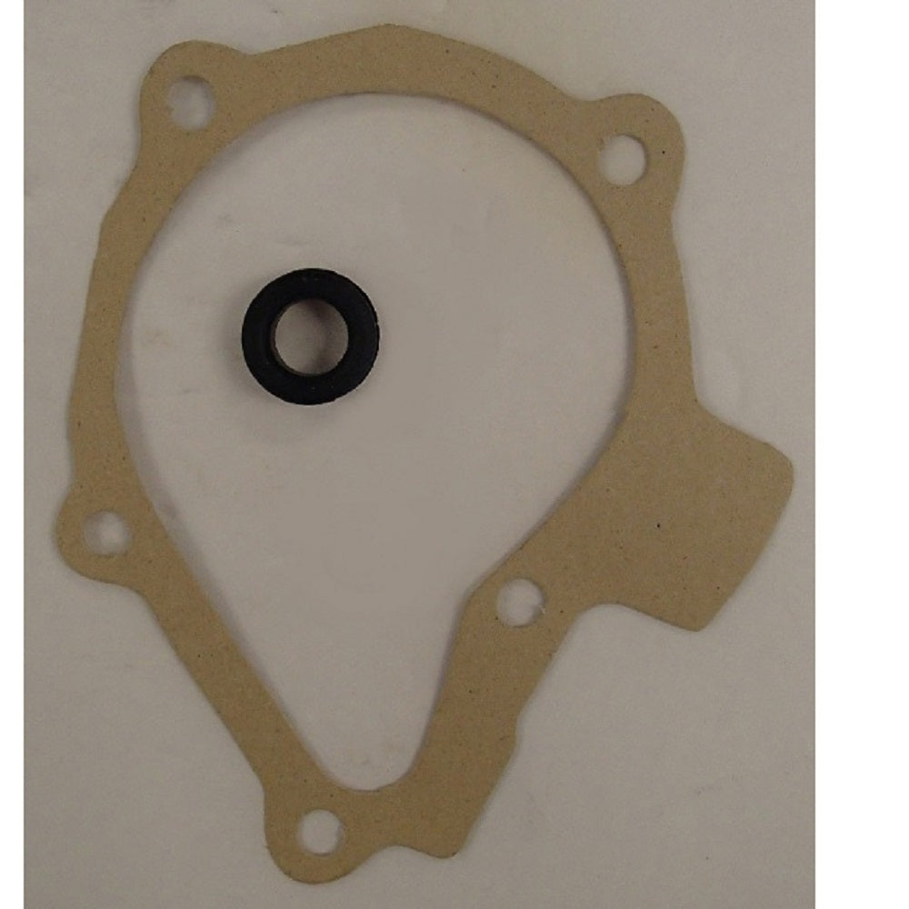 K952713 Water Pump & Gasket with Seal Fits Case for David Brown 770 780 880 885