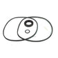 S.57972 Seal Kit, Hydraulic Pump, K962136 Fits Case IH